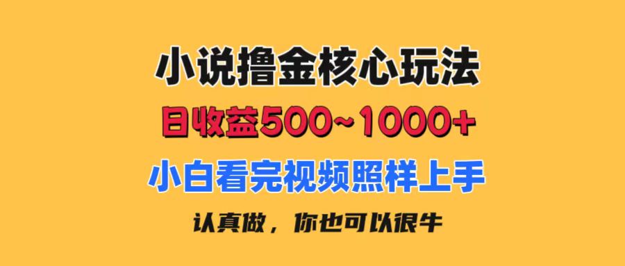 小说撸金核心玩法，日收益500-1000+，小白看完照样上手，0成本有手就行-起飞项目网