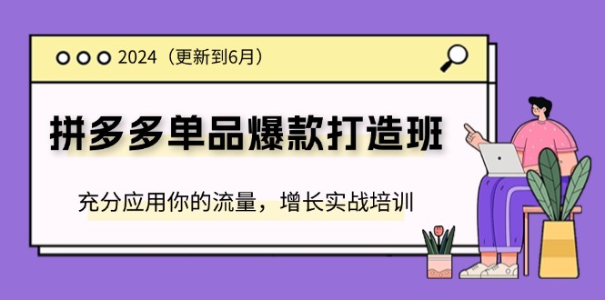 2024拼多多-单品爆款打造班(更新6月)，充分应用你的流量，增长实战培训-起飞项目网