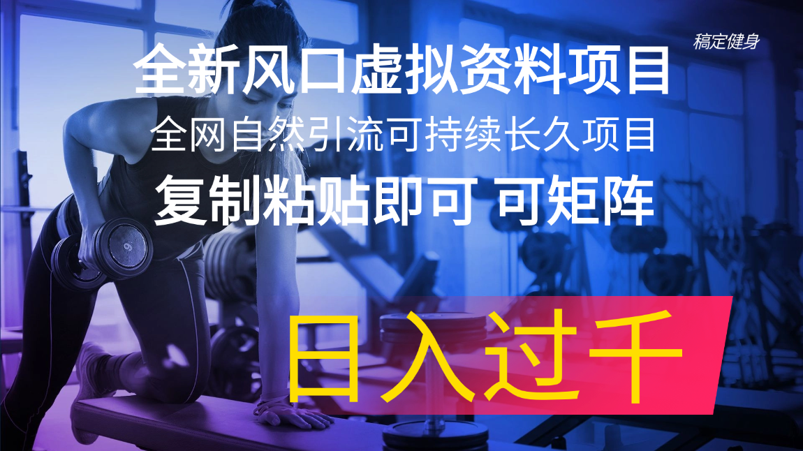 全新风口虚拟资料项目 全网自然引流可持续长久项目 复制粘贴即可可矩阵-起飞项目网