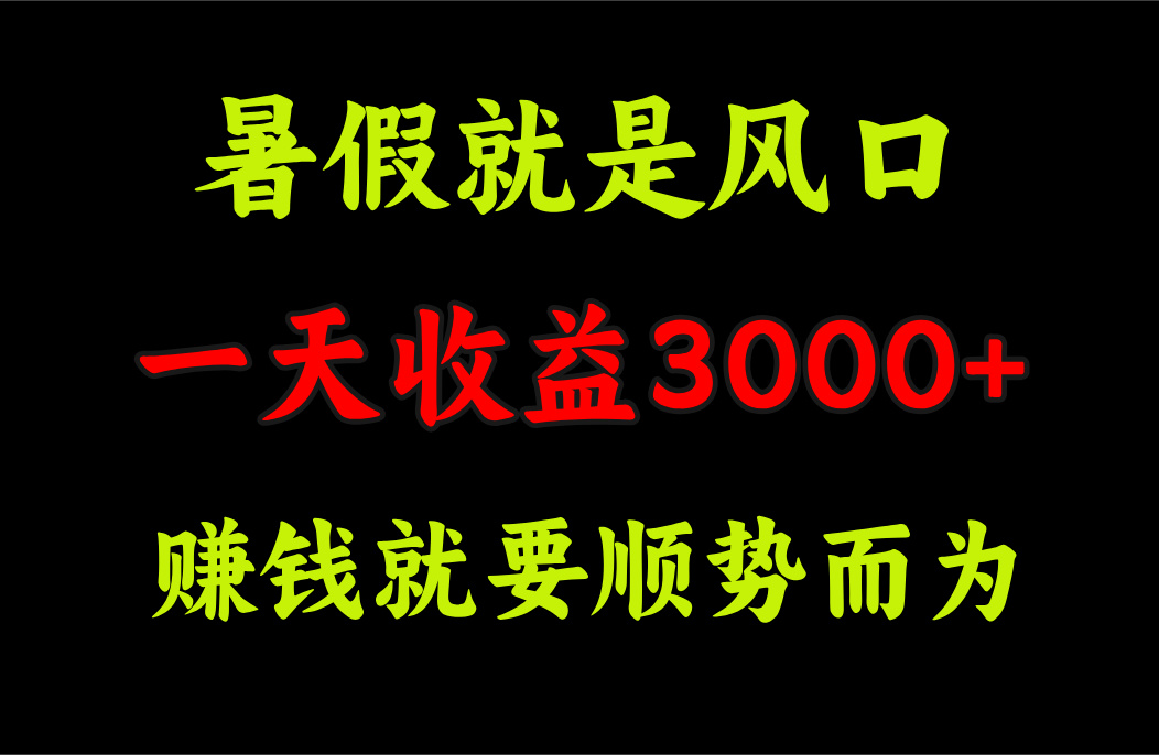 一天收益3000+ 赚钱就是顺势而为，暑假就是风口-起飞项目网