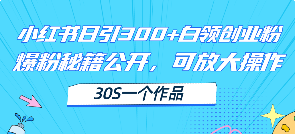 小红书日引300+高质白领创业粉，可放大操作，爆粉秘籍！30s一个作品-起飞项目网