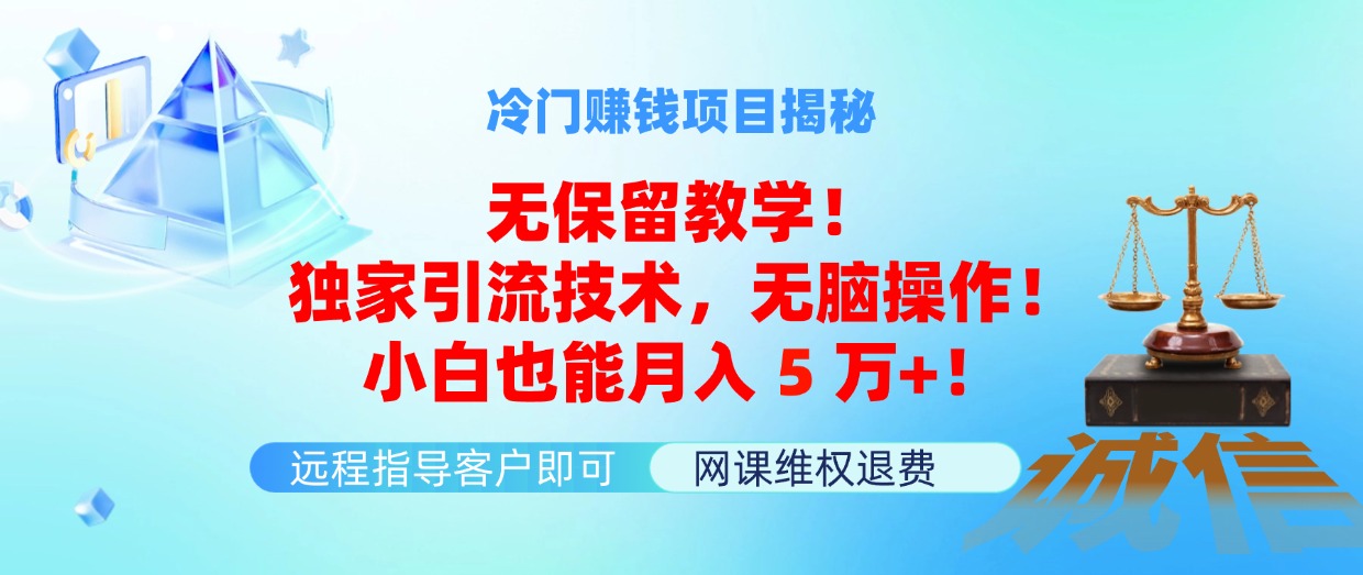 冷门赚钱项目无保留教学！独家引流技术，无脑操作！小白也能月入5万+！-起飞项目网