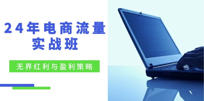 24年电商流量实战班：无界红利与盈利策略，终极提升/关键词优化/精准人群拓展/创新玩法-起飞项目网