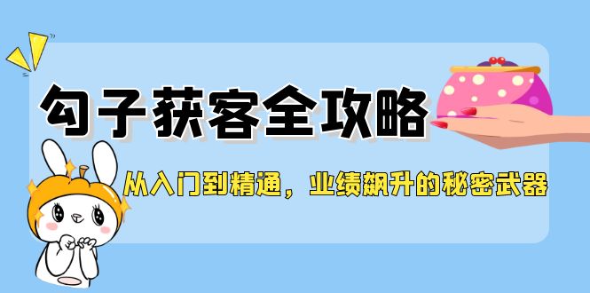 从入门到精通，勾子获客全攻略，业绩飙升的秘密武器-起飞项目网