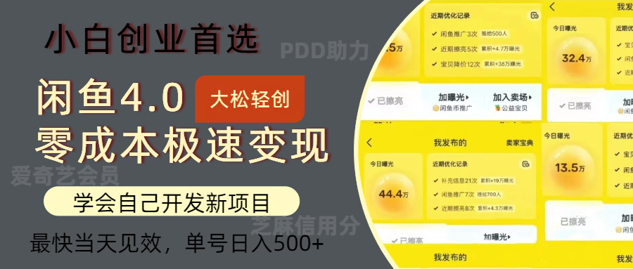 闲鱼0成本极速变现项目，多种变现方式 单号日入500+最新玩法-起飞项目网