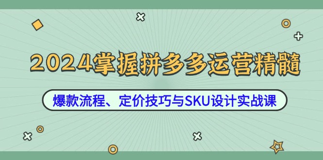 2024掌握拼多多运营精髓：爆款流程、定价技巧与SKU设计实战课-起飞项目网