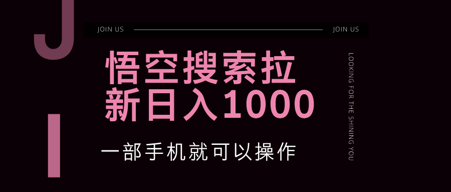 悟空搜索类拉新 蓝海项目 一部手机就可以操作 教程非常详细-起飞项目网