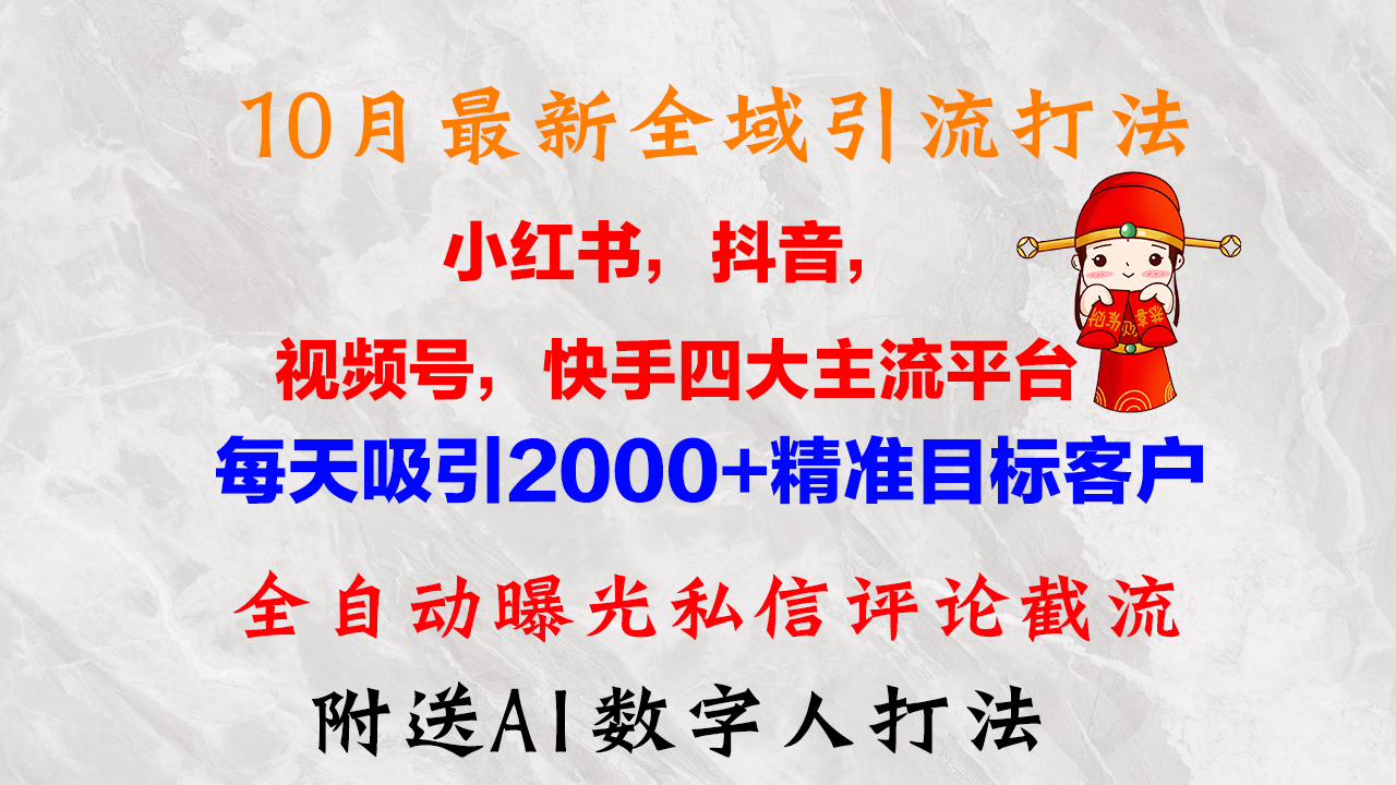 10月最新小红书，抖音，视频号，快手四大平台全域引流，，每天吸引2000+精准客户-起飞项目网