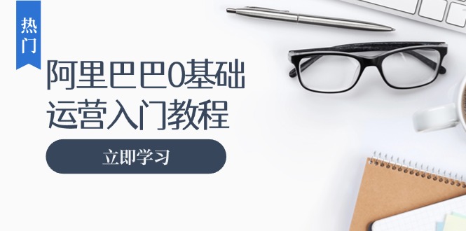 阿里巴巴运营零基础入门教程：涵盖开店、运营、推广，快速成为电商高手-起飞项目网